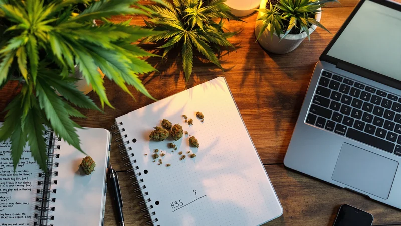 Preguntas frecuentes