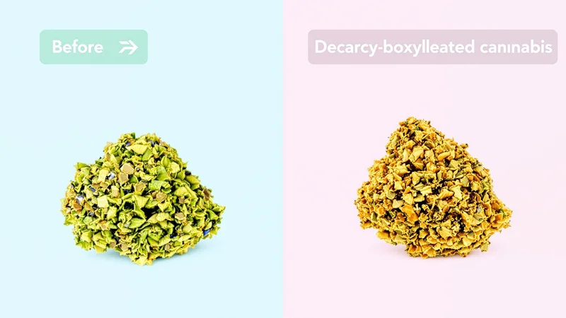 Woran erkennst du, ob dein Gras richtig decarboxyliert ist?