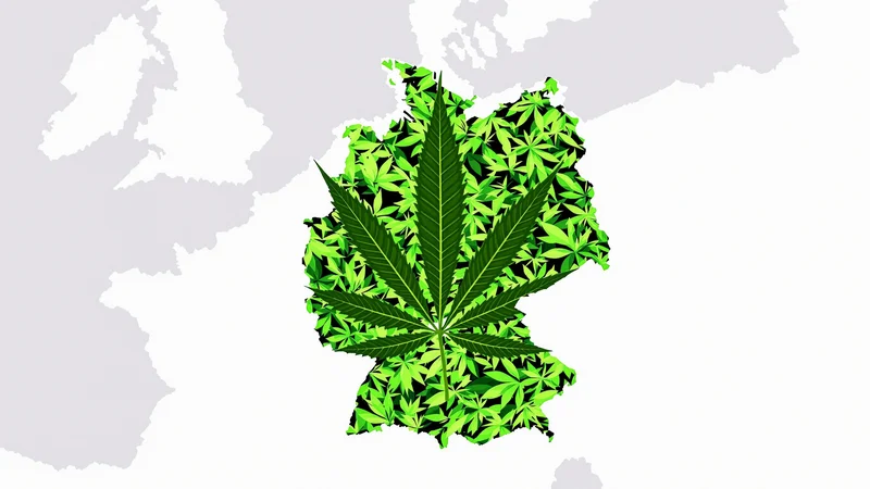 The Legal Situation in Germany: What Does the Cannabis Act (CanG) Allow?