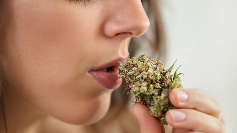 Preguntas frecuentes sobre el linalool